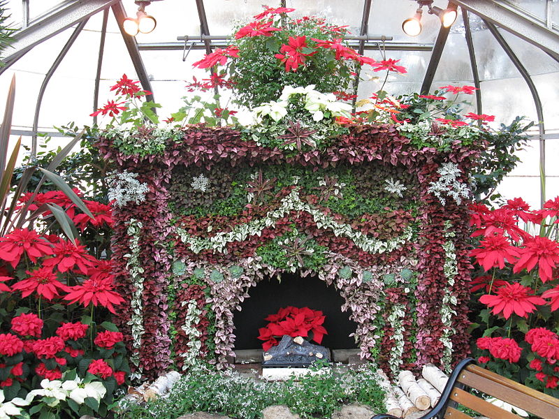 display