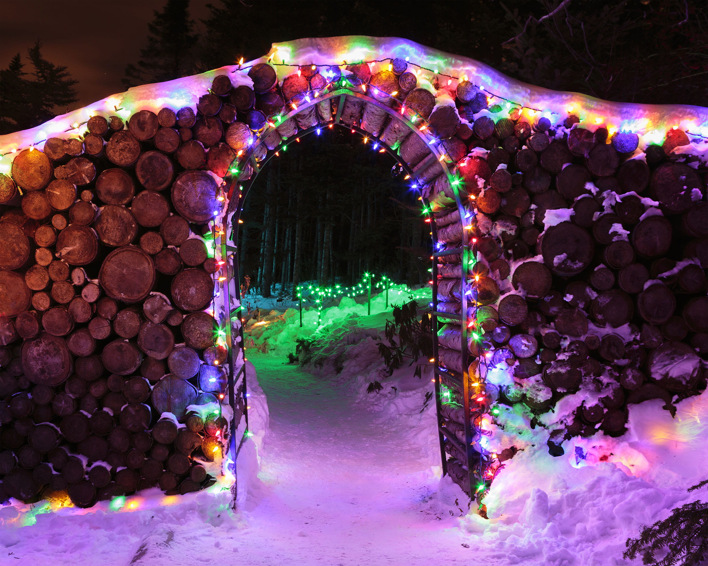 Christmas arch
