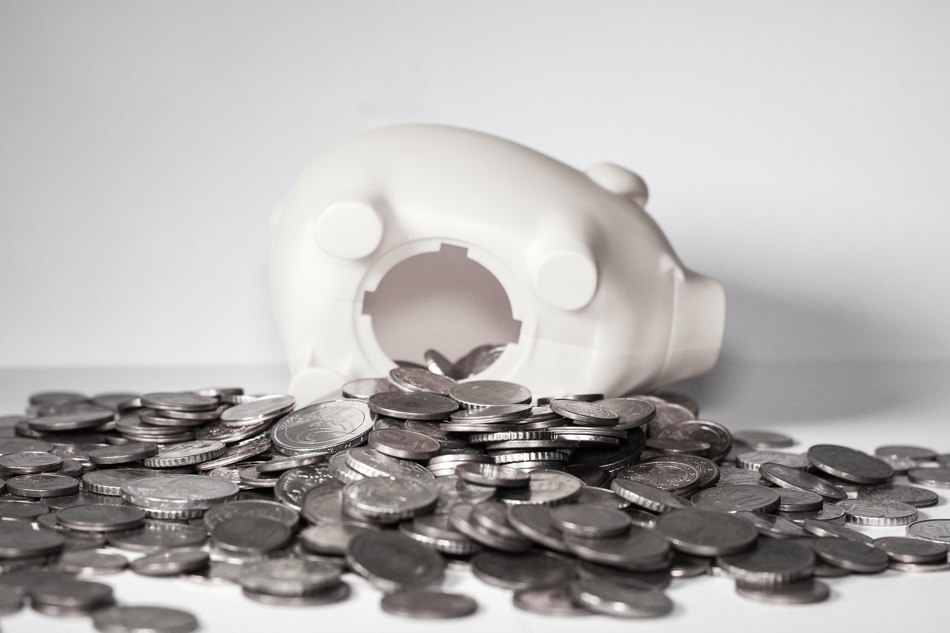 Piggy Bank